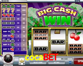 Apostas Esportivas na cocabet: Um Guia Completo