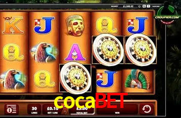 Descubra o Programa VIP da cocabet: Vantagens Exclusivas para Jogadores
