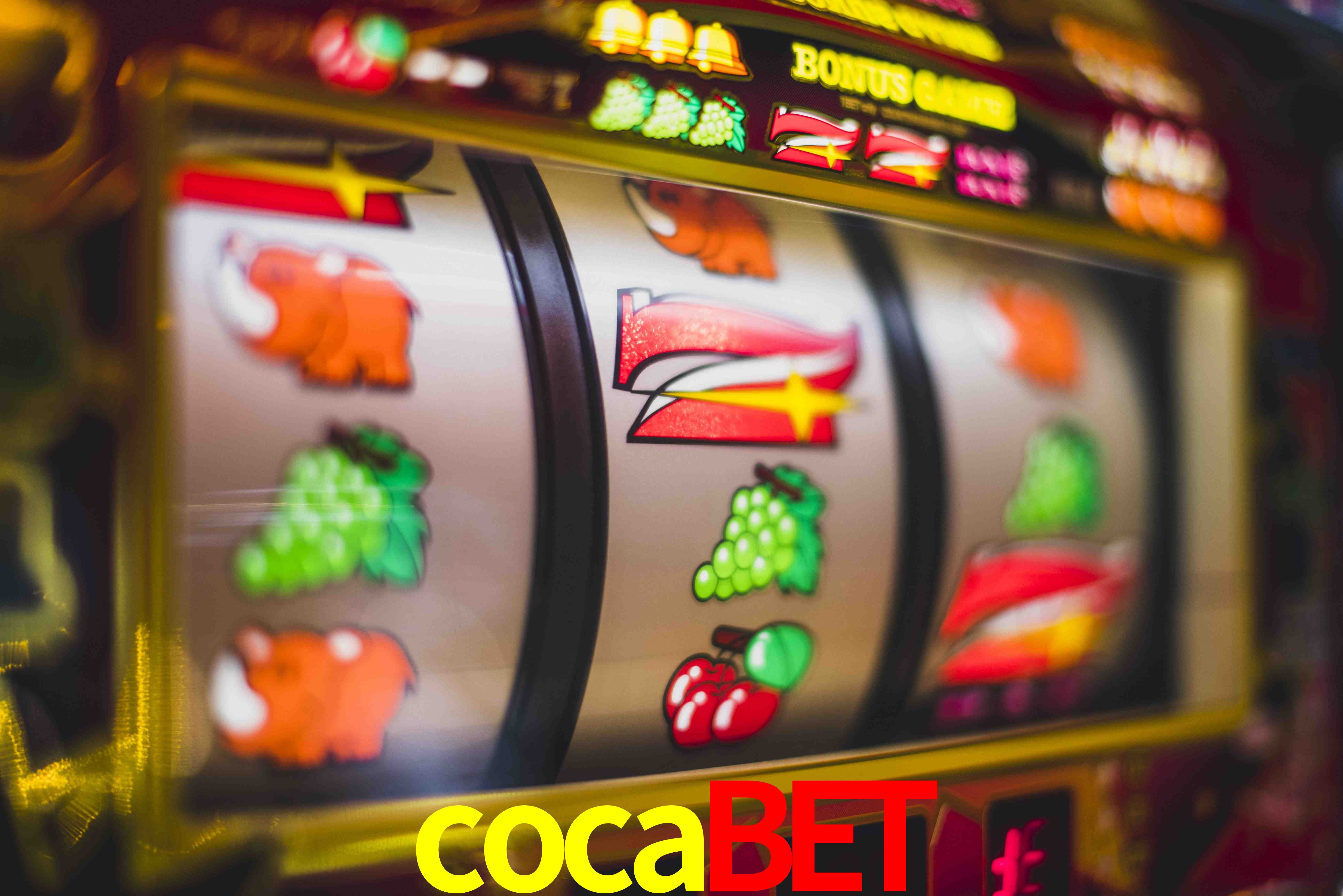 Account Benefits cocabet